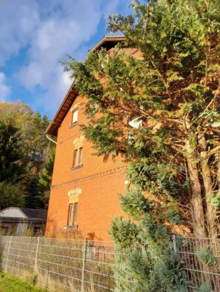 Reinsdorf (Landkreis Zwickau) Mehrfamilienhaus Haus kaufen