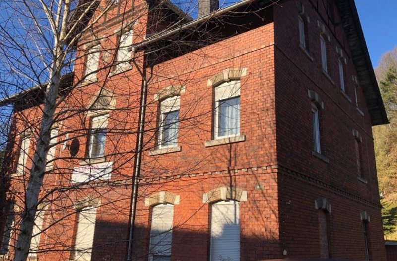 Reinsdorf (Landkreis Zwickau) Mehrfamilienhaus Haus kaufen
