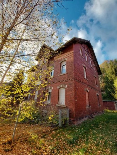 Reinsdorf (Landkreis Zwickau) Mehrfamilienhaus Haus kaufen