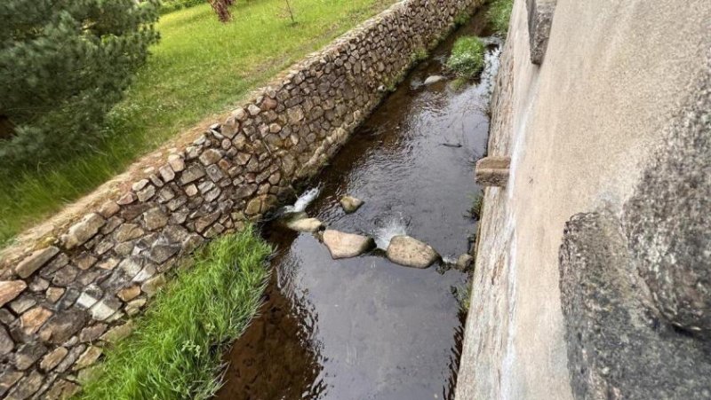 Crinitzberg OHNE BANK! Ehemalige Gaststätte mit Saal und 2 Wohnungen Haus kaufen