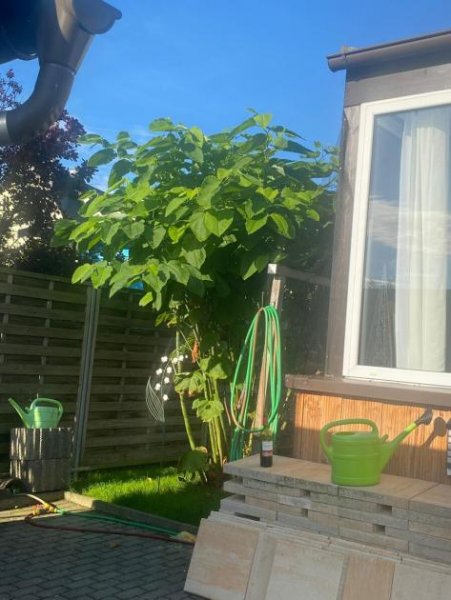 Zwönitz Einfamilienhaus in Zwönitz – 166 m² Wohnfläche auf großzügigem Grundstück Haus kaufen