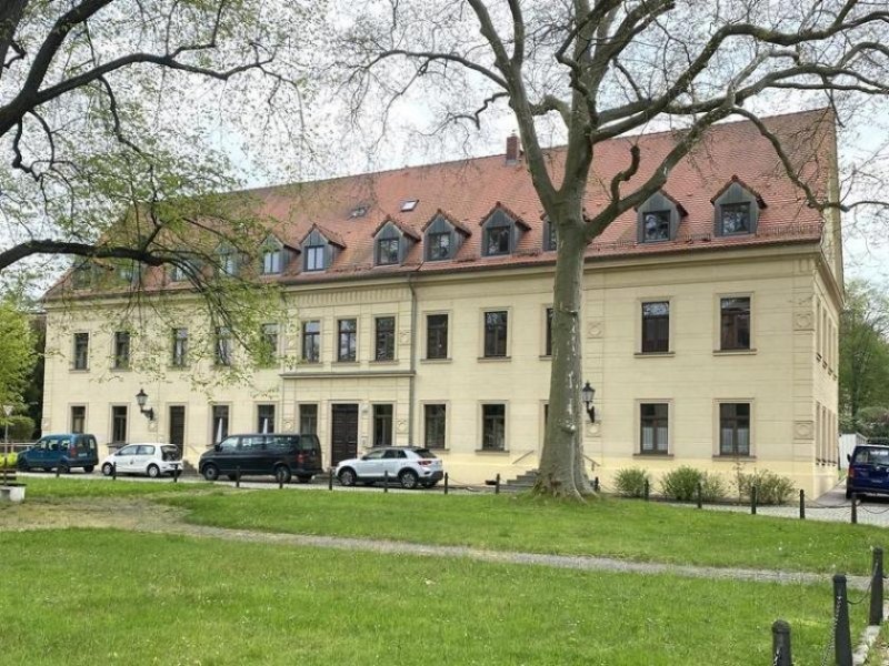 Glauchau 1,5-Raumwhg. mit EBK und Stpl. in historischem Villenviertel, Leerstehend. Wohnung kaufen