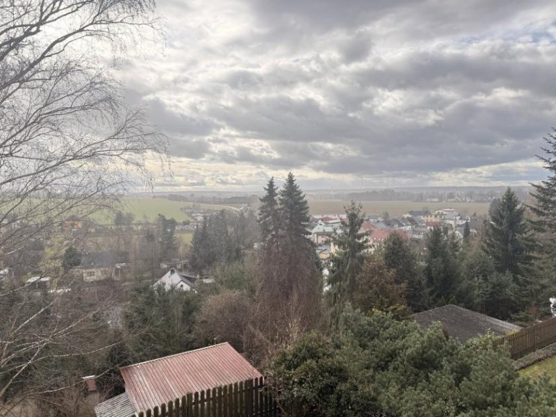 Glauchau 2-Raumwhg. mit Stellpl., 2 Garagen, EBK & Balkon in gepflegter Wohnanlage in Glauchau! Wohnung kaufen