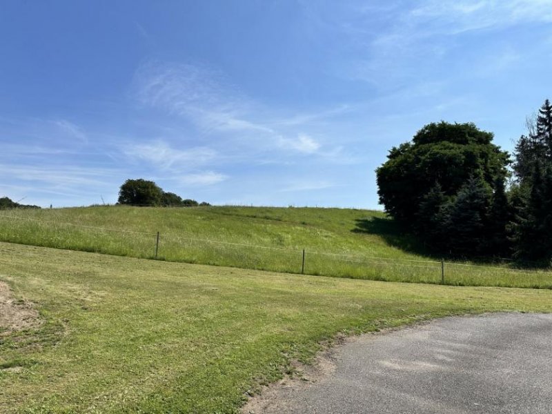Werdau Sanierungsbed. Wohnhaus mit denkmalgeschütztem Wirtschaftsgebäude + Garage Haus kaufen