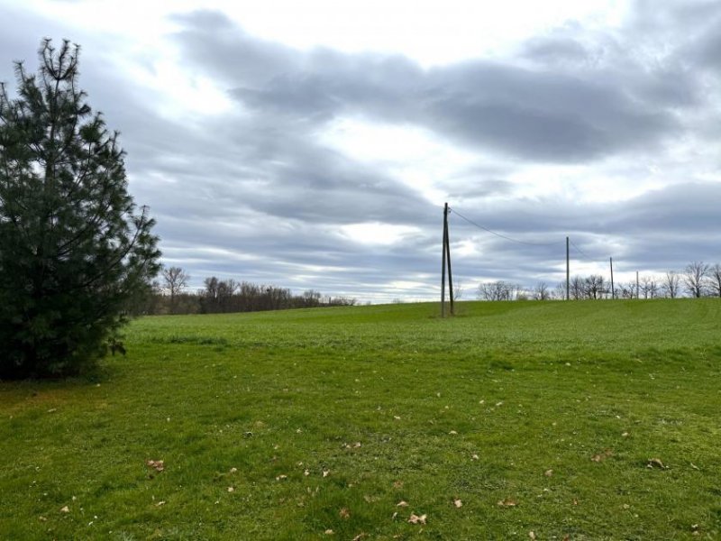 Werdau Vermietete 2-RWE im 2. OG mit Balkon, Stpl. und Tageslicht-Bad! Unmittelbare Nähe zur Talsperre! Wohnung kaufen