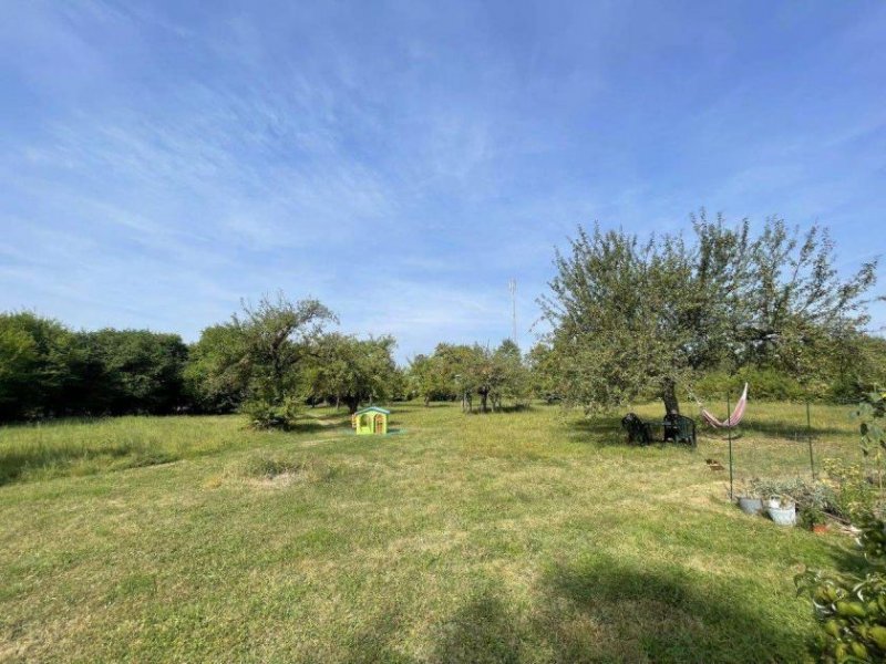 Schönberg (Vogtlandkreis) Nähe Plauen: Gepflegte Villa als Kapitalanlage oder zur Eigennutzung Gewerbe kaufen