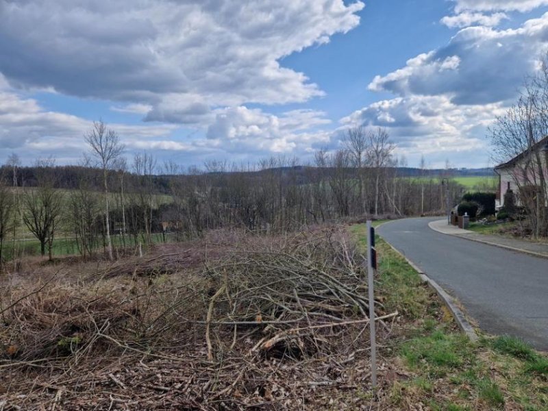 Neuensalz Baugrundstück mit B.-Plan für EFH/DHH, einzelne Parzellen verfügbar, ohne Bauträgerbindung Grundstück kaufen