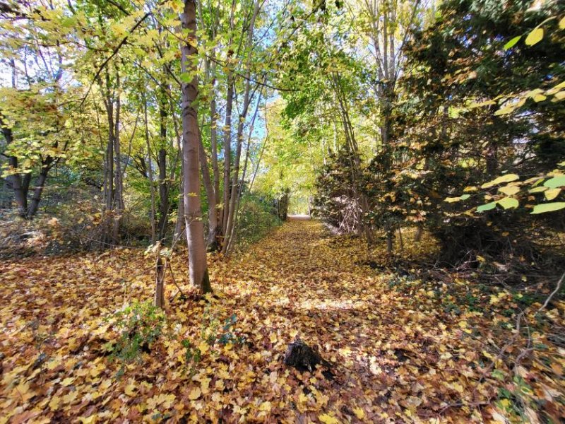 Oelsnitz/Vogtland 3143 - 8.000 m² Grundstück an der A 72 Pirk/ Weischlitz Grundstück kaufen