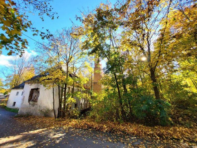 Oelsnitz/Vogtland 8.000 m² Grundstück an der A 72 Pirk/ Weischlitz Grundstück kaufen