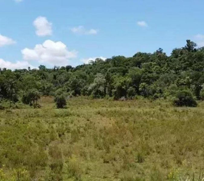 Acahay Acahay Estancia Kauf Farm 166 Hektar - 13129 Gewerbe kaufen