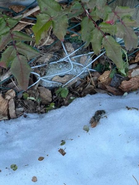 Chemnitz Nicht bauträgergebundenes Grundstück in beliebter Lage! Grundstück kaufen