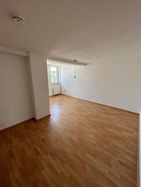 Chemnitz Großzügige und vermietete 2-Zi. mit Laminat, Balkon, EBK und Wanne in zentraler Lage Wohnung kaufen