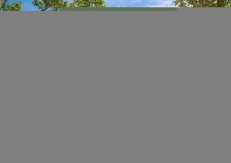 Chemnitz Innerstädtische Baugrundstück - Geschoßwohnungsbeu - Wohnen - mit Altbestand Grundstück kaufen