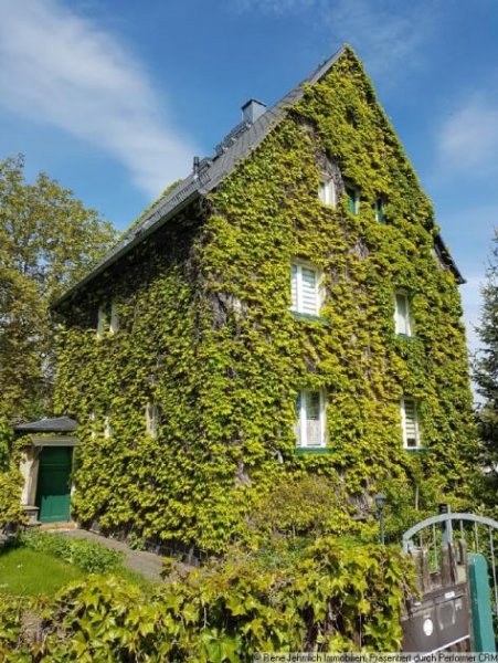 Limbach-Oberfrohna Schönes, von wildem Wein umwachsenes Haus – keine Schäden, da der Wein sich nur mit Saugnäpfen hält. Haus kaufen