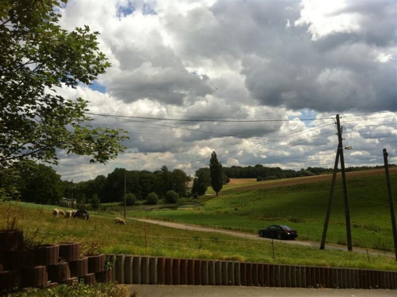 Taura Saniertes und vollvermietetes Mehrfamilienhaus mit SP und Balk. in guter Lage Gewerbe kaufen