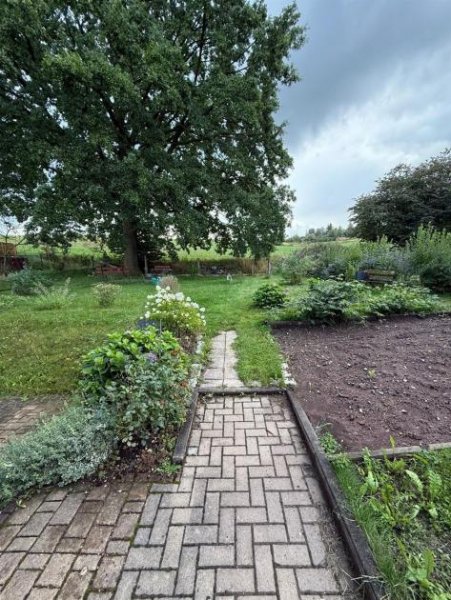 Lugau Günstiges EFH mit Terrasse, Garage, Dusche und sonnigem Grundstück am grünen Ortsrand Haus kaufen