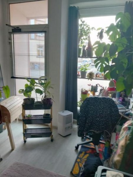 Mittweida ObjNr:B-19763 - 3 Familienhaus in Mittweida auch als Vermietung an Studenten geeignet Haus kaufen