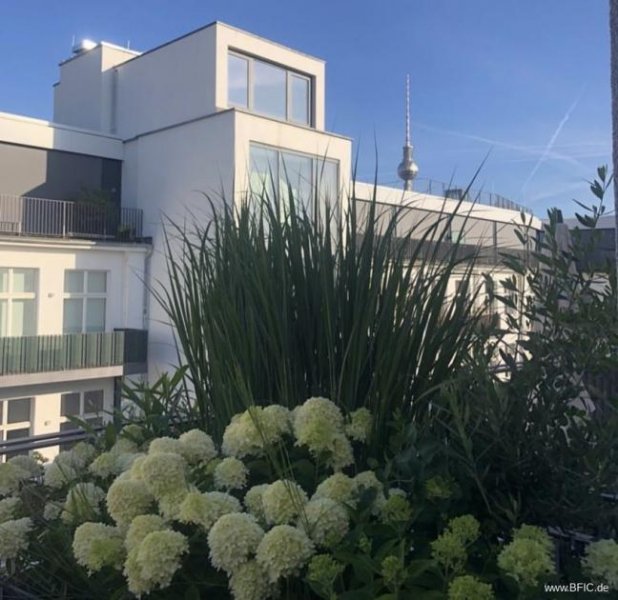 Berlin Hochwertige Dachterrassen-Wohnung, Blick auf den Fernsehturm, gut vermietet Wohnung kaufen