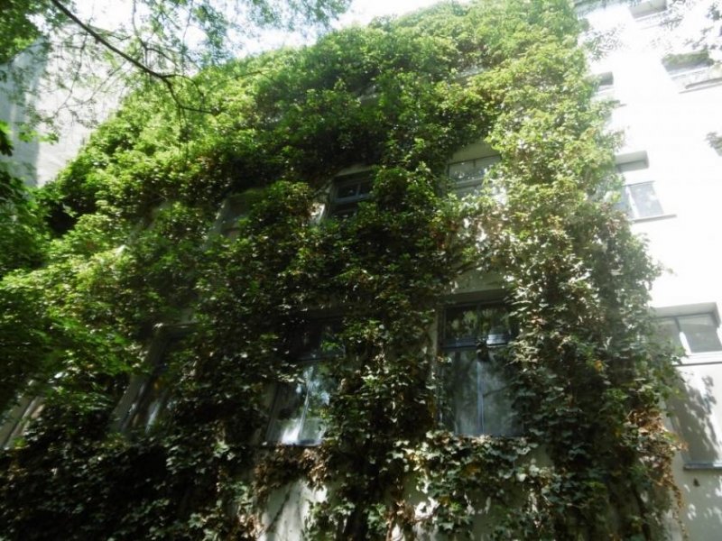 Berlin INVESTMENT PROPERTY: TWO ROOM FLAT IN MOABIT IN A AMAZING ALT BAU + 2,06% YIELD Gewerbe kaufen