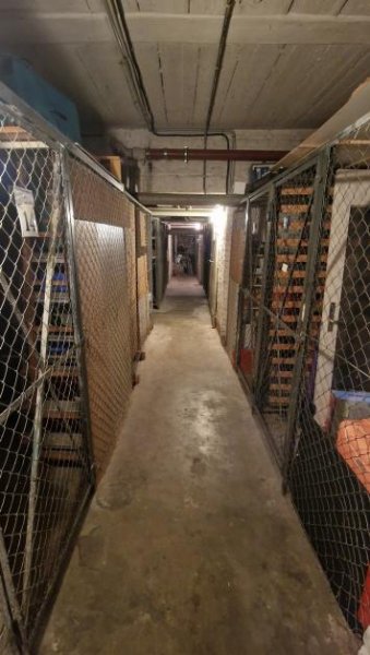 Berlin PROVISIONSFREI - Bezugsfreie und möblierte Wohnung! Wohnung kaufen