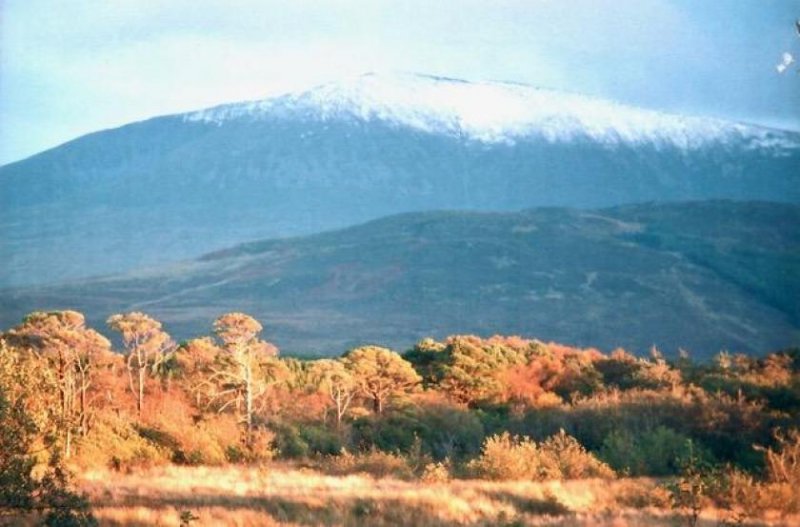 Ballina Keenagh Lodge - Grafschaft Mayo - Irland Haus kaufen