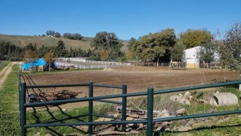 Jimena de la Frontera Andalusien, Sotogrande - Finca mit Pferdeboxen zu verkaufen Haus kaufen