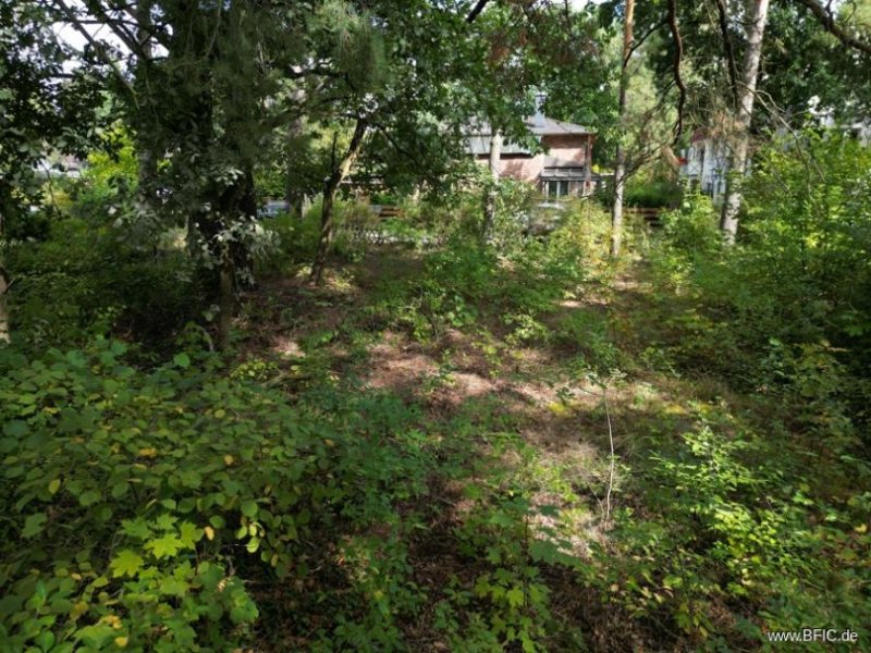 Berlin Ruhiges Baugrundstück nahe Dahme: Platz für zwei Einfamilienhäuser Grundstück kaufen