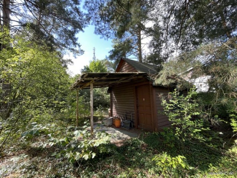 Berlin Ruhiges Baugrundstück nahe Dahme: Platz für zwei Einfamilienhäuser Grundstück kaufen