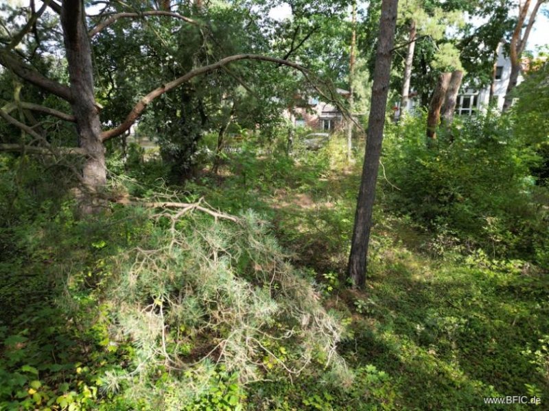 Berlin Ruhiges Baugrundstück nahe Dahme: Platz für zwei Einfamilienhäuser Grundstück kaufen