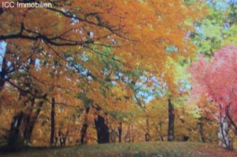 Berlin Parkresidenz Berlin Gewerbe kaufen