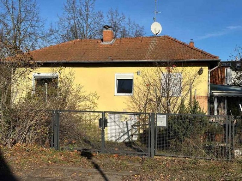 Berlin Handwerkerobjekt – Einfamilienhaus in begehrter Spandaulage Haus kaufen