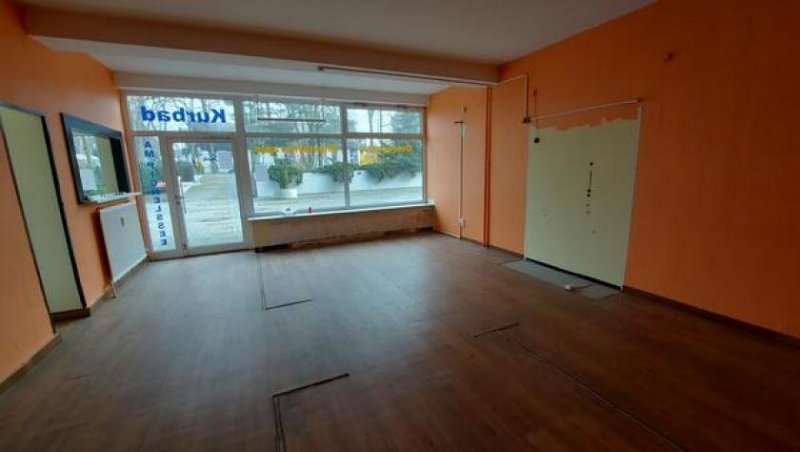 Berlin Prov.-frei: Für Visionäre! Großflächige Gewerbeetage in Bln-Pichelsdorf Gewerbe kaufen