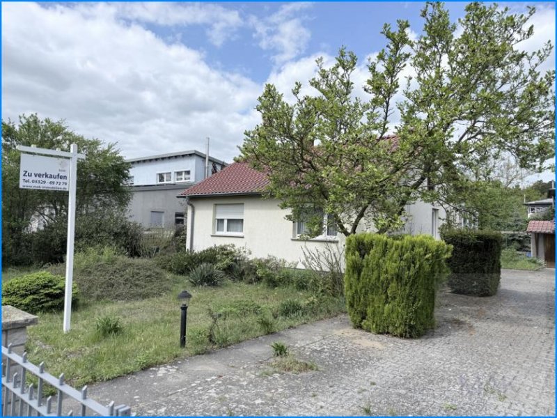 Potsdam MAK Immobilien: Grundstück in Potsdam Babelsberg/Steinstücken zu verkaufen Haus kaufen