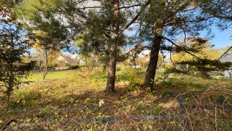 Teltow ++ Familientraum am Teltowkanal: Ihr sonniges Baugrundstück direkt an der Berliner Stadtgrenze ++ Grundstück kaufen