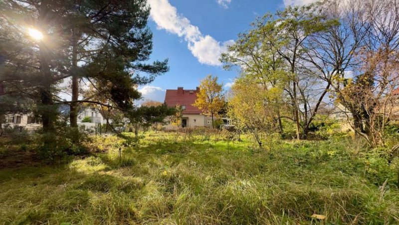 Teltow ++ Familientraum am Teltowkanal: Ihr sonniges Baugrundstück direkt an der Berliner Stadtgrenze ++ Grundstück kaufen