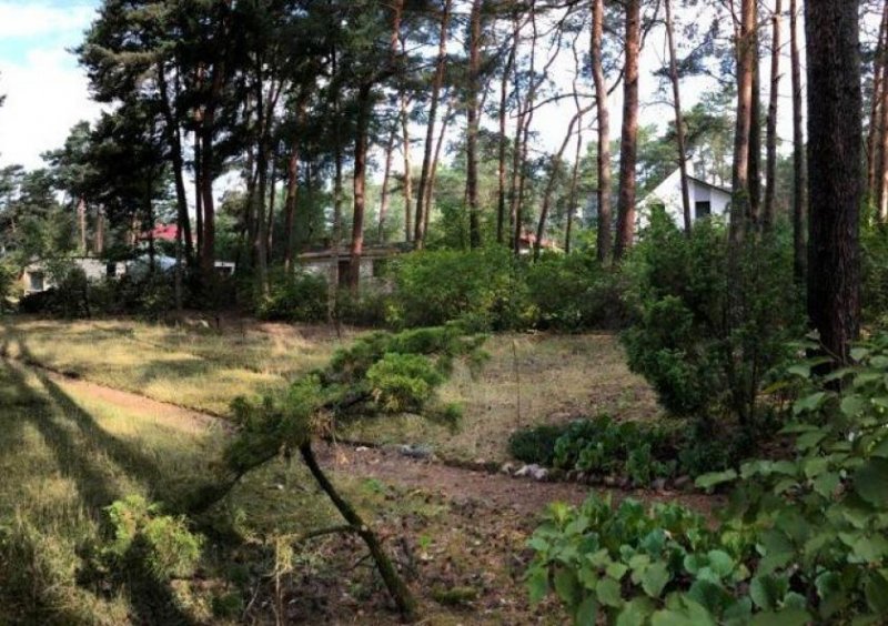 Michenorf erschlossenes Baugrundstück mit Garage, Ferienhaus Grundstück kaufen