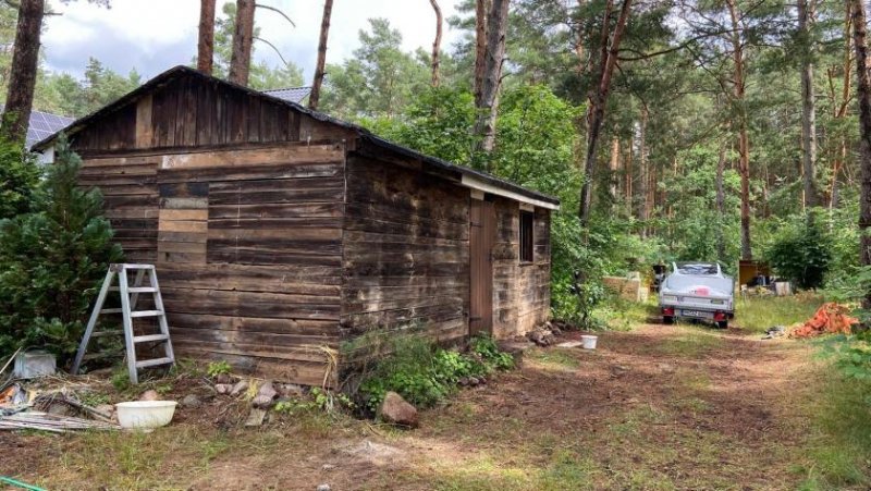 Michenorf Willkommen in Ihrem Traumhaus in Michendorf, Wildenbruch Bergheide! Haus kaufen
