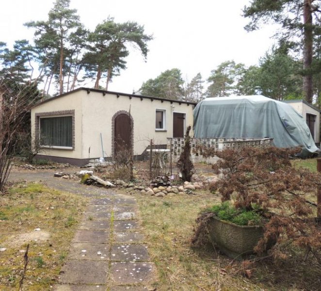 Michenorf Willkommen in Ihrem Traumhaus in Michendorf, Wildenbruch Bergheide! Haus kaufen