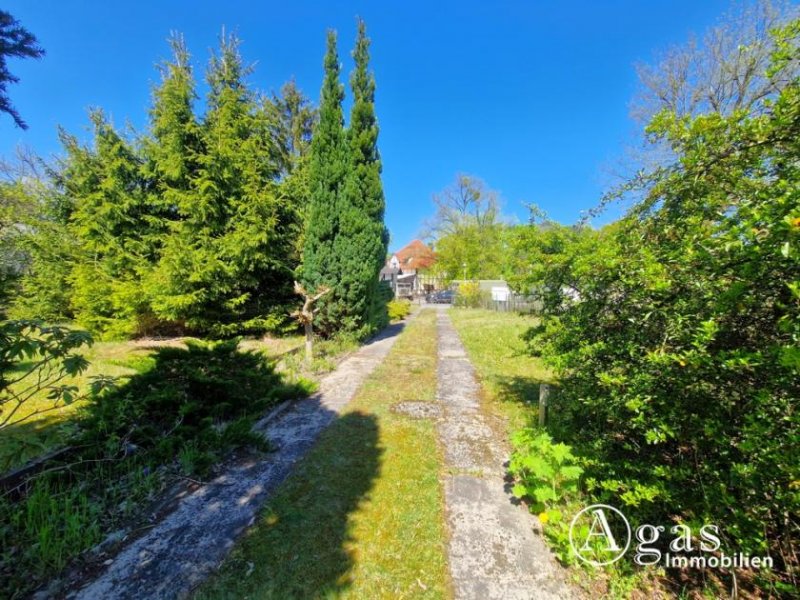 Stahnsdorf Exklusive Toplage: ca. 1.220m² großes Grundstück mit Bungalow, Garage & Werkstatt–provisionsfrei! Haus kaufen