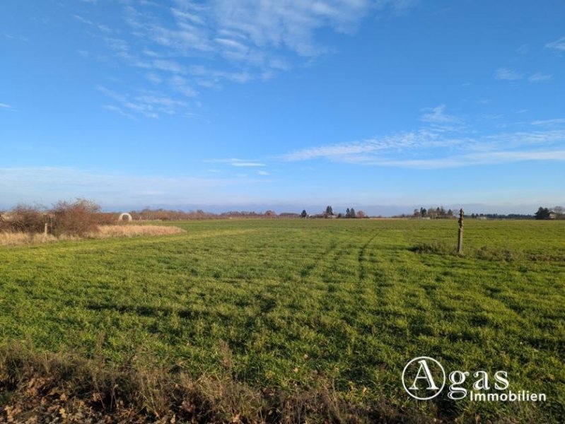 Werder (Havel) Landwirtschaftliche Nutzfläche in Plötzin Grundstück kaufen