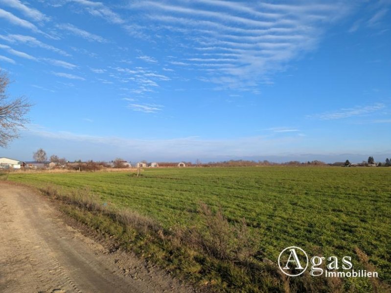 Werder (Havel) Landwirtschaftliche Nutzfläche in Plötzin Grundstück kaufen