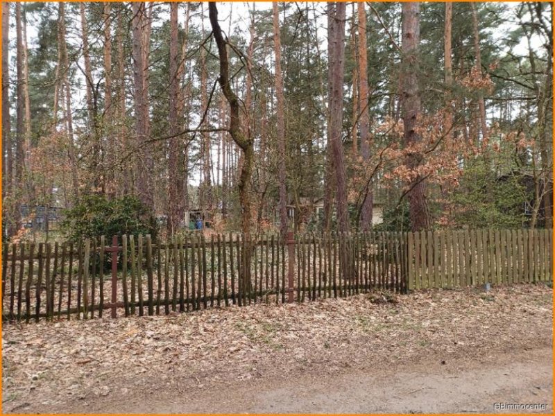 Beelitz (Landkreis Potsdam-Mittelmark) Alle Hausarten auf KLASSE Bauland möglich Grundstück kaufen