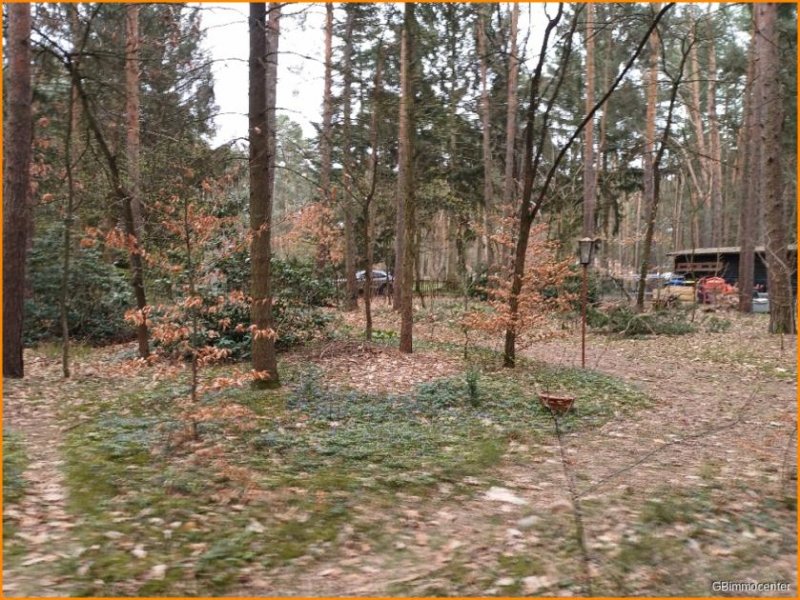 Beelitz (Landkreis Potsdam-Mittelmark) Alle Hausarten auf KLASSE Bauland möglich Grundstück kaufen