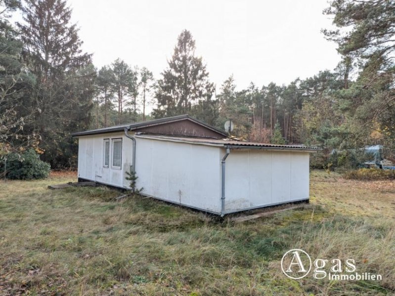 Beelitz (Landkreis Potsdam-Mittelmark) Ferienbungalow auf weitläufigem Grundstück Haus kaufen