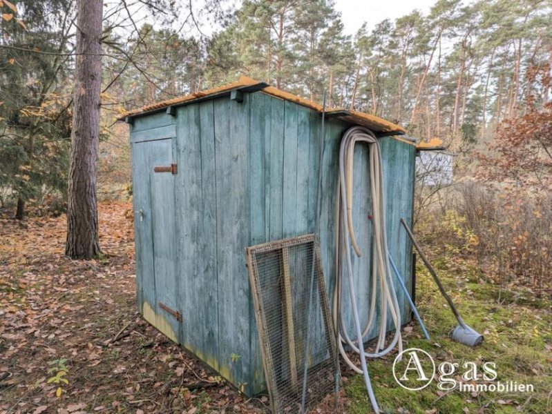 Beelitz (Landkreis Potsdam-Mittelmark) Ferienbungalow auf weitläufigem Grundstück Haus kaufen
