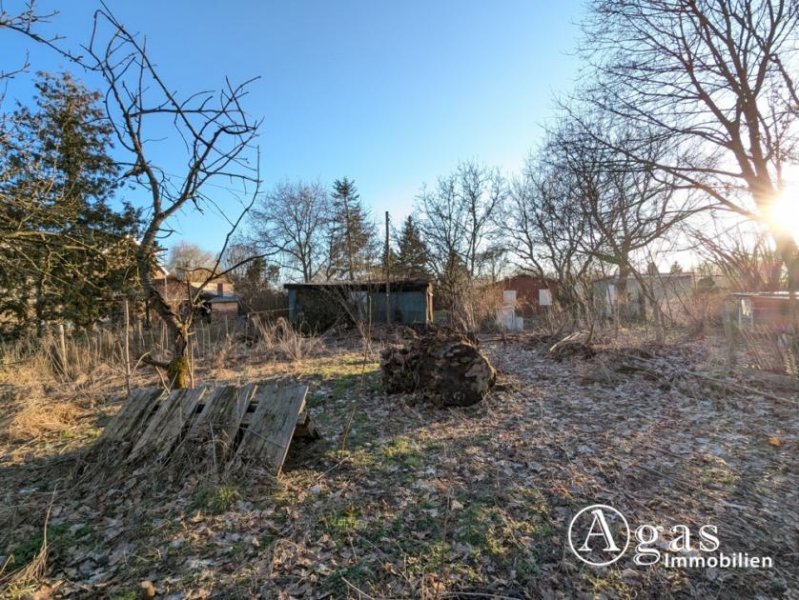 Beelitz (Landkreis Potsdam-Mittelmark) Traumgrundstück in Beelitz - bauträgerfrei Grundstück kaufen