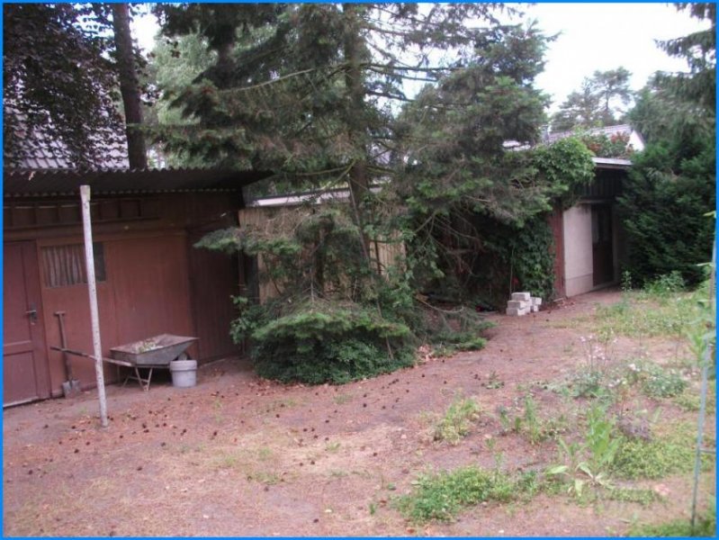 Schwielowsee MAK Immobilien: Wohnen in Wildpark-West Haus kaufen