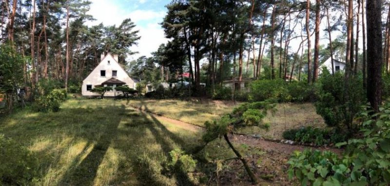 Michendorf freistehendes Einfamilienhaus, teilsaniert mit zusätzlichem Baugrundstück Haus kaufen