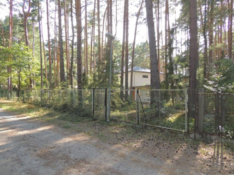 Michendorf Ihr Neubau beginnt hier - Traumgrundstück in Michendorf Grundstück kaufen