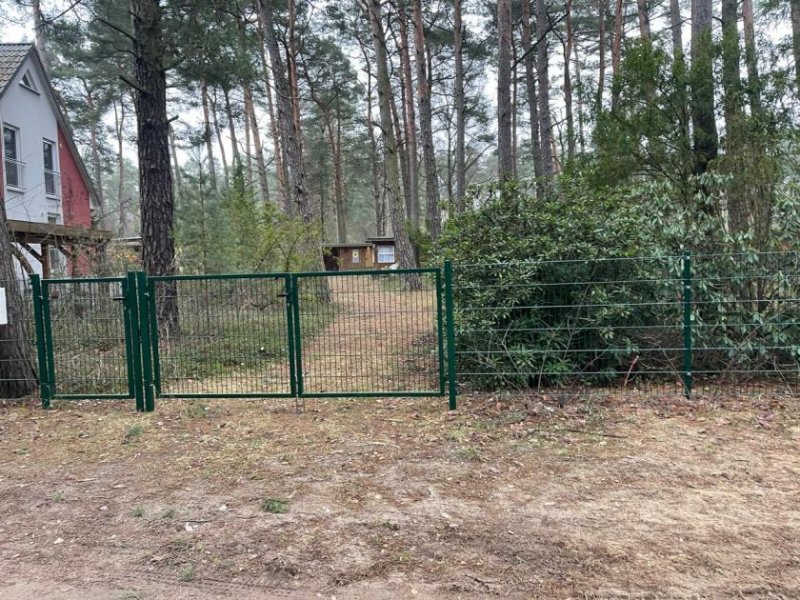 Michendorf Raus aus der Stadt, rein ins Glück - Michendorf - Bergheide wartet Grundstück kaufen